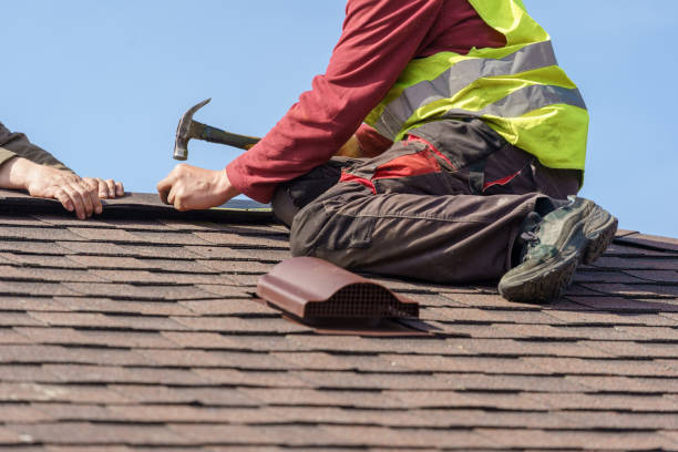 Best Roof Leak Repair  in West Liberty, OH