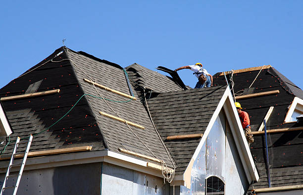 Best Roof Maintenance Services  in West Liberty, OH